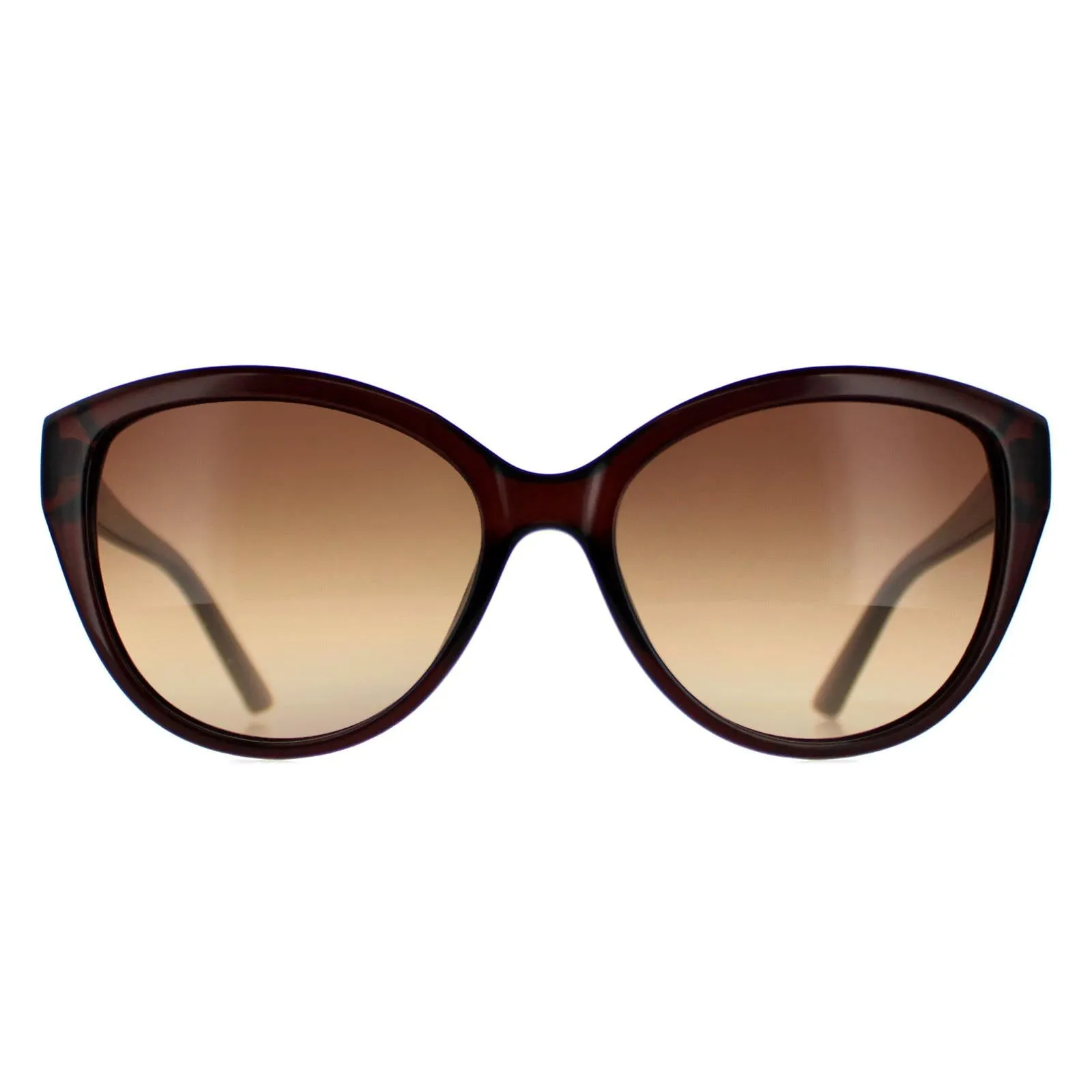 Calvin Klein Sunglasses CK19536S 210 Crystal Brown  Brown