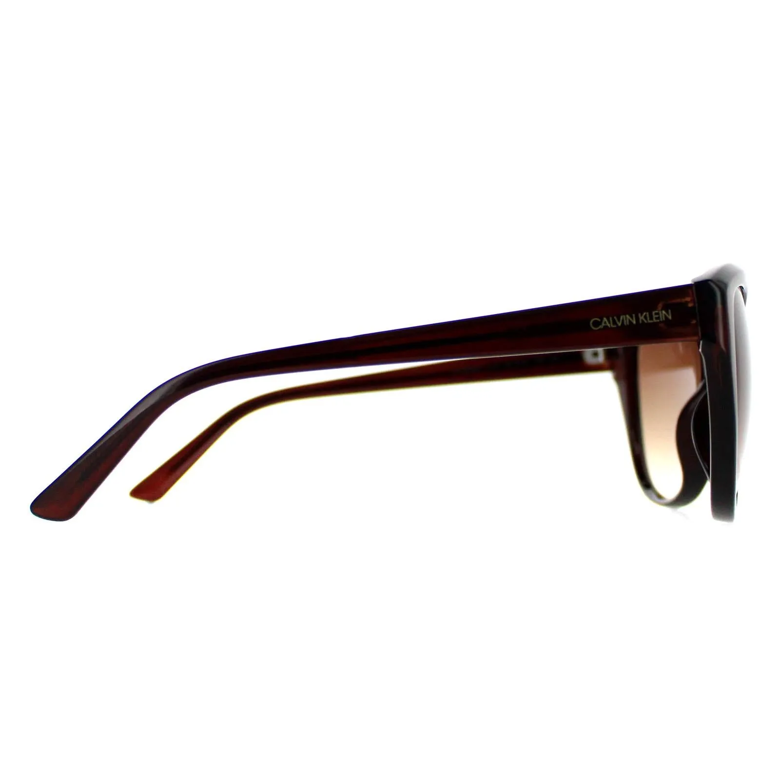 Calvin Klein Sunglasses CK19536S 210 Crystal Brown  Brown