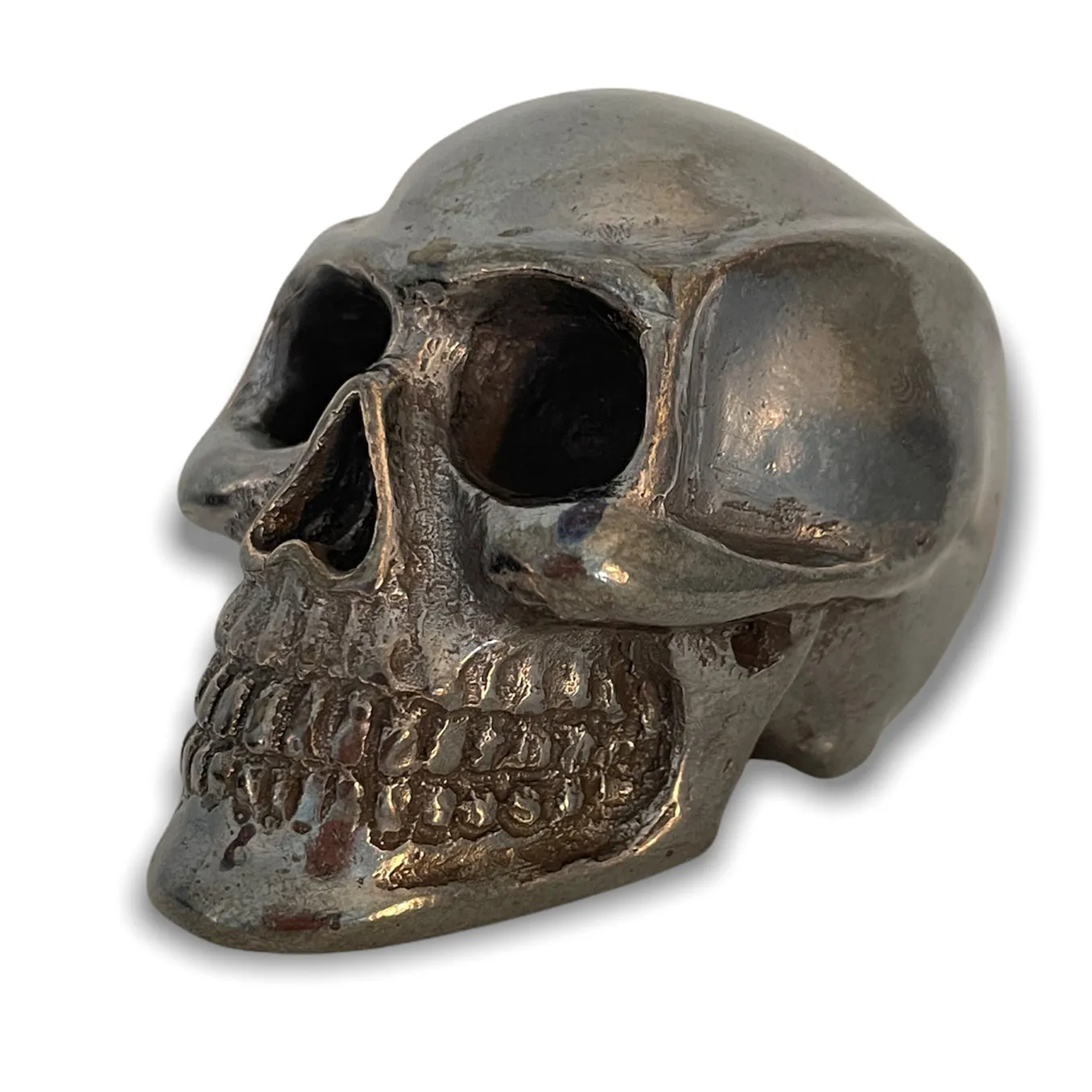 Cast Bronze Skull