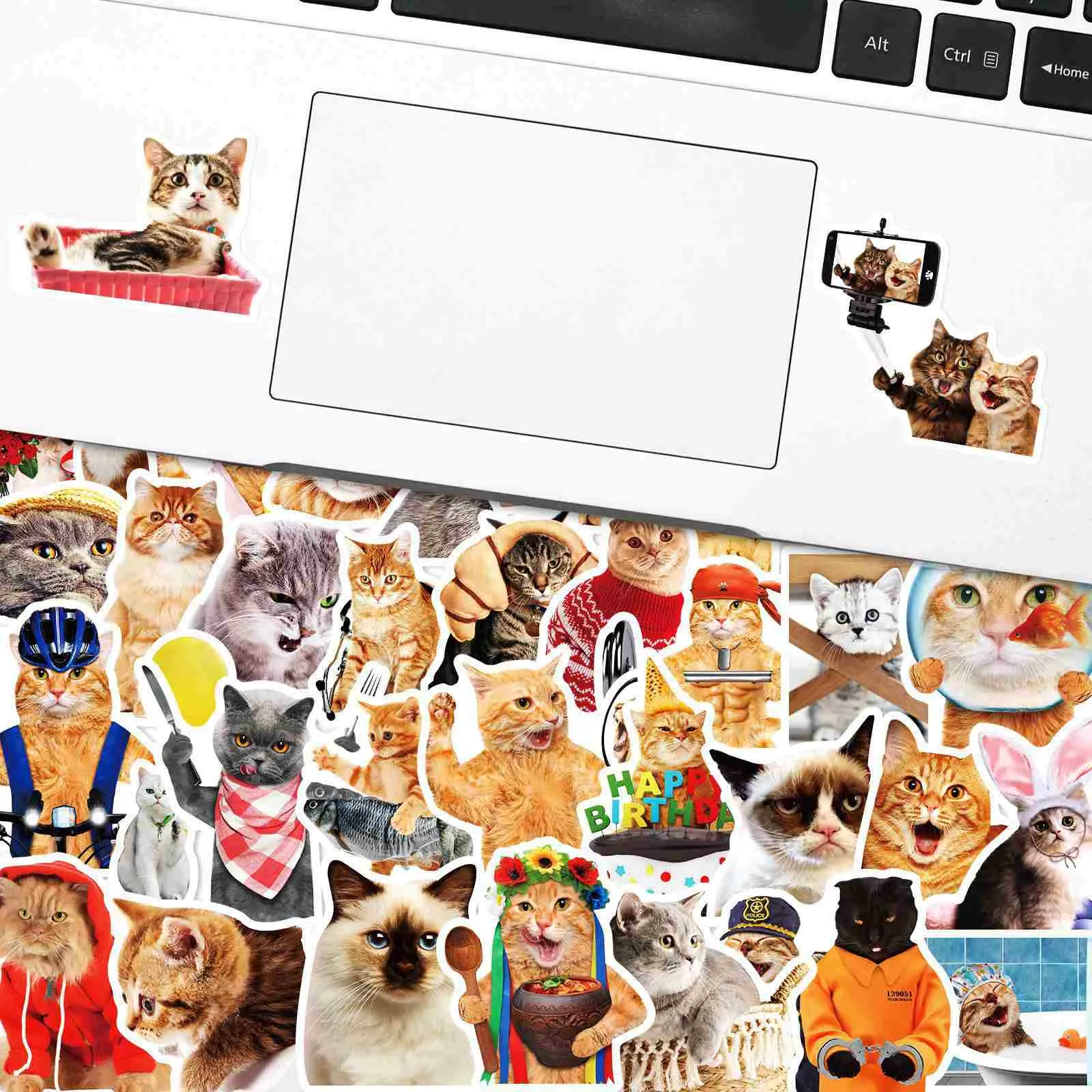 Craspire Waterproof PVC Adhesive Stickers, for Suitcase, Skateboard, Refrigerator, Helmet, Mobile Phone Shell, Cat Pattern, 50~70x50~70mm