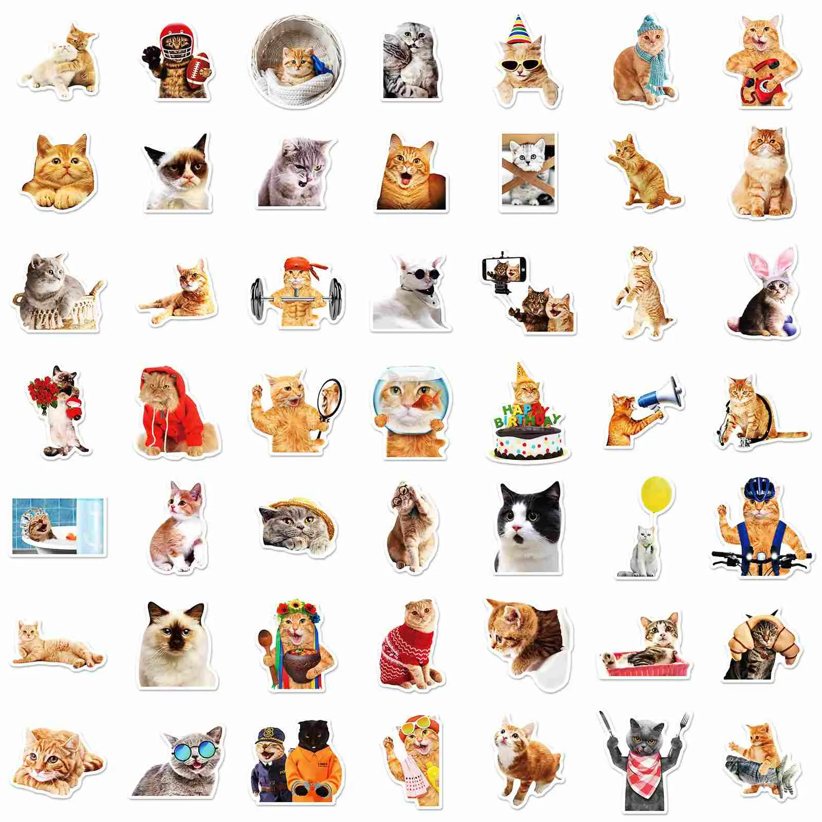 Craspire Waterproof PVC Adhesive Stickers, for Suitcase, Skateboard, Refrigerator, Helmet, Mobile Phone Shell, Cat Pattern, 50~70x50~70mm