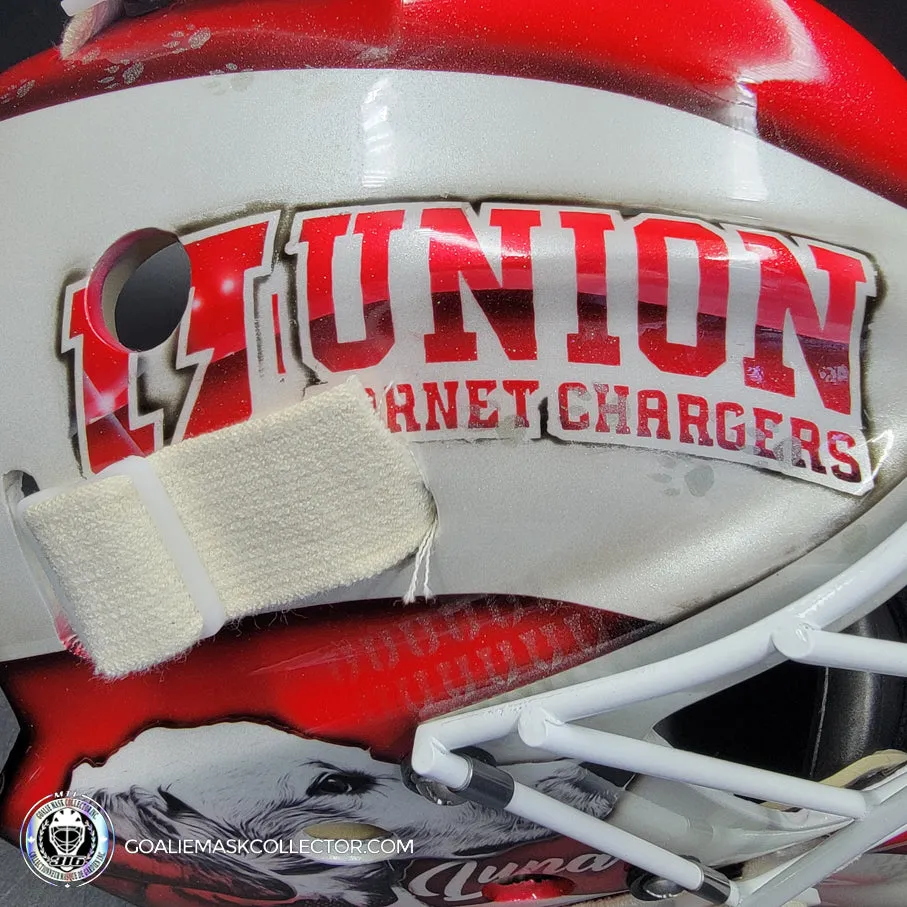 Custom Painted Goalie Mask: University Logos   Dogs