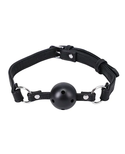 In A Bag Ball Gag