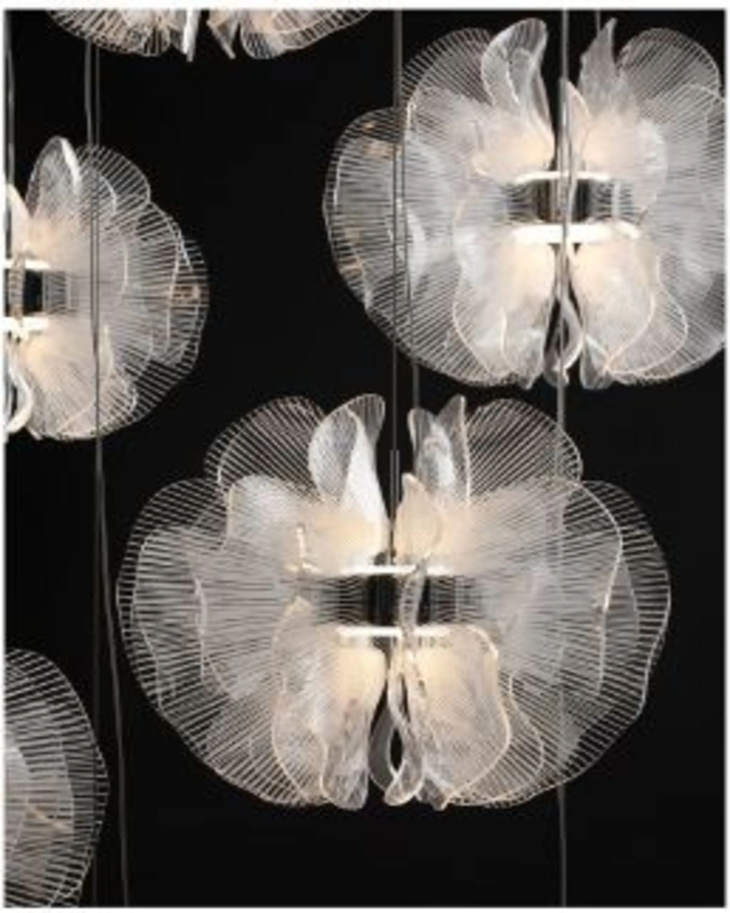 Modern Zenith Luxurious Hanging Lights