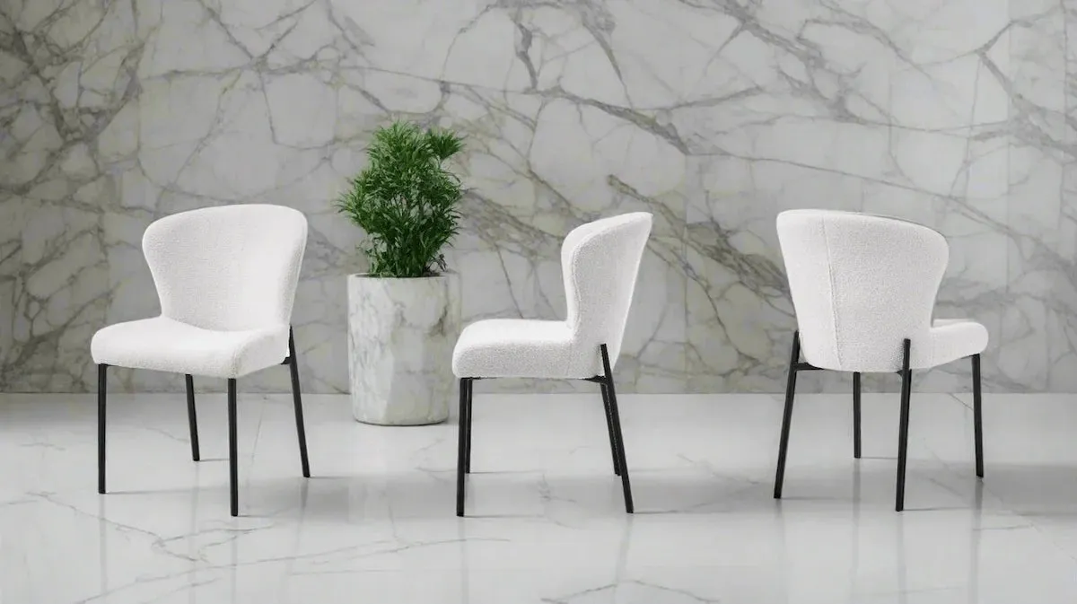 Oval - Luxurious Dining Chairs