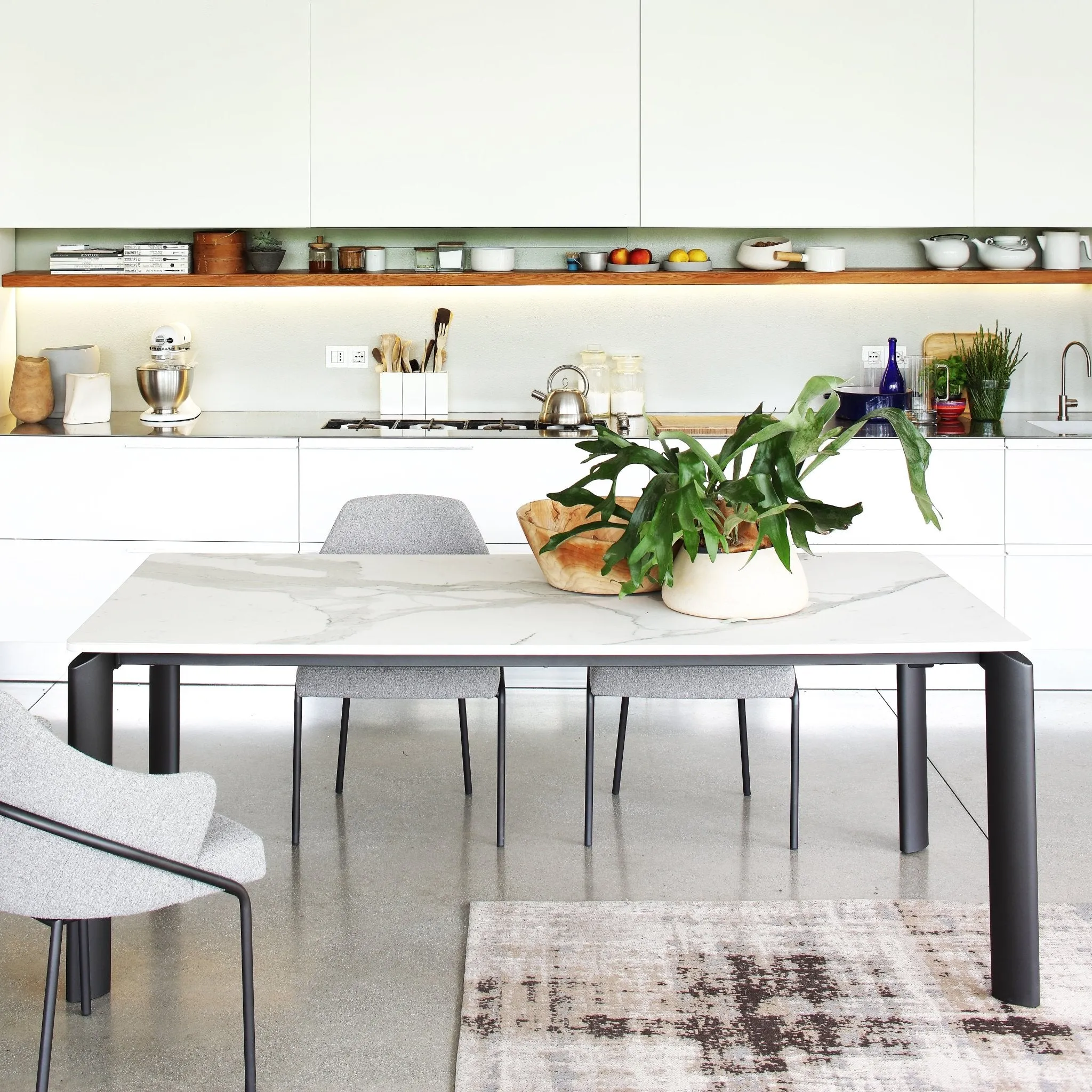 Sash - Luxurious Dining Chairs