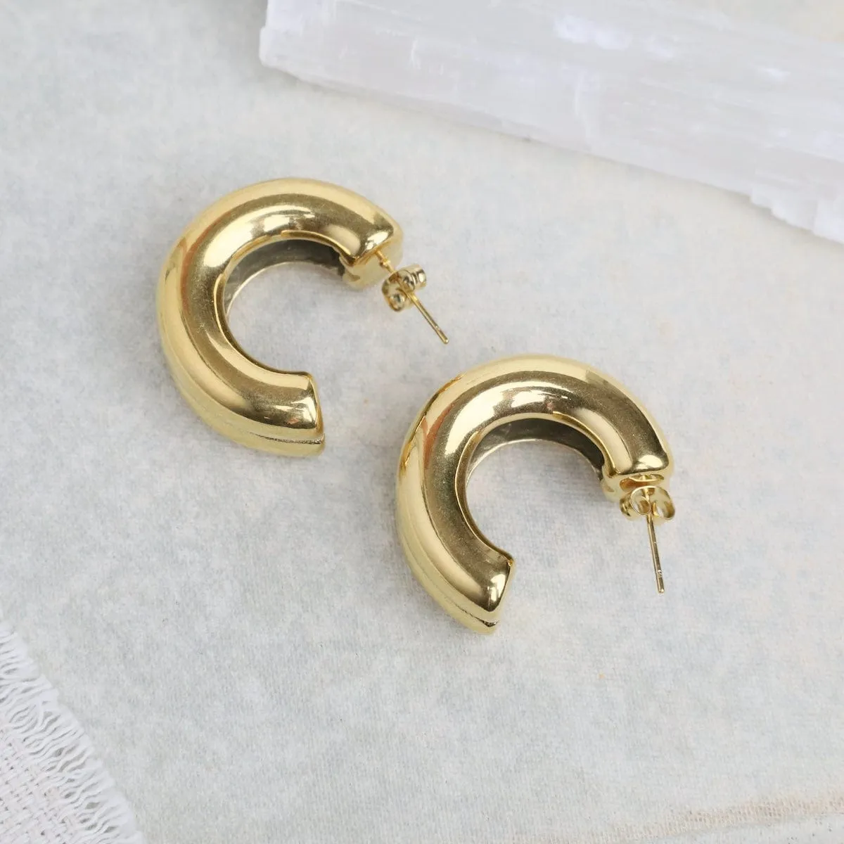 Taylor Curved Earrings