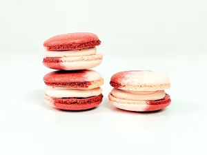 Wildberry Vegan Macarons